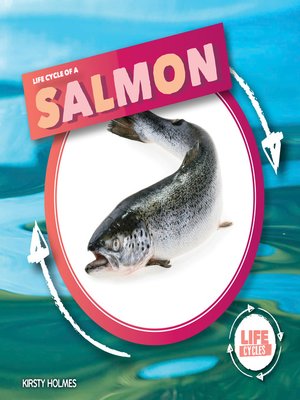 cover image of Life Cycle of Salmon